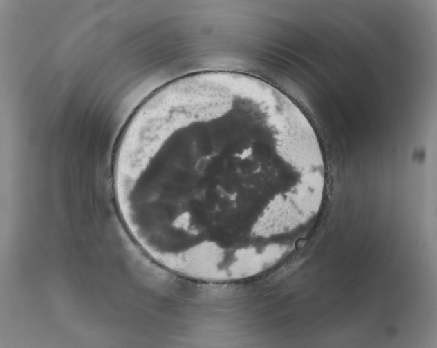 X0000111521087200908251131