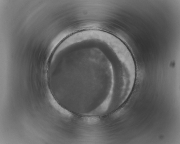 X0000111521090200908251131
