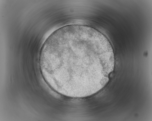 X0000111521091200908251131
