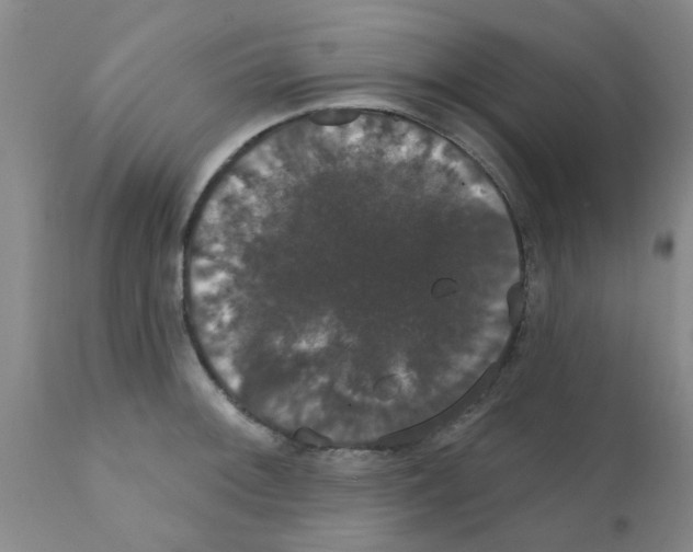 X0000111521092200908251131