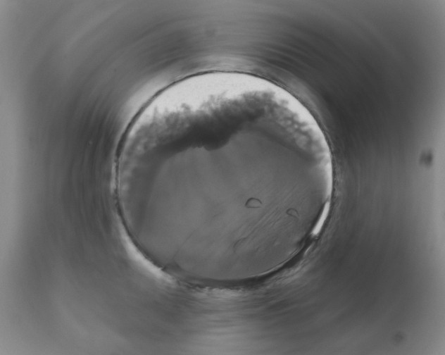 X0000111521095200908251131