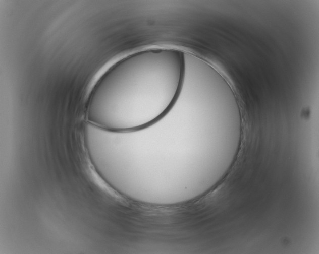 X0000111521100200908251131