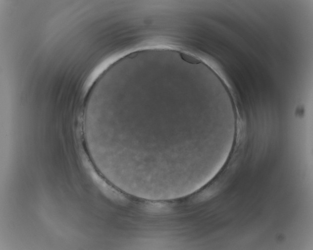 X0000111521101200908251131