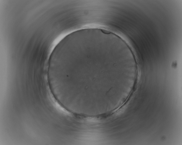 X0000111521102200908251131