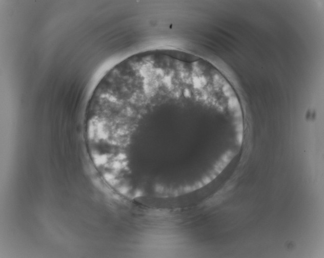X0000111521104200908251131