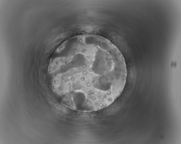 X0000111521105200908251130