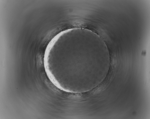 X0000111521106200908251130