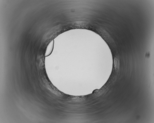 X0000111521107200908251130