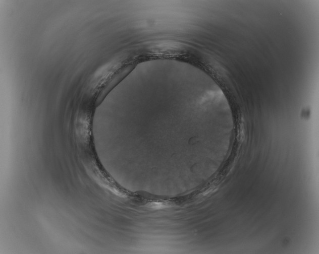 X0000111521108200908251130