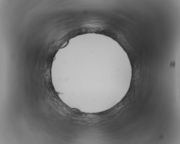 X0000111521109200908251130