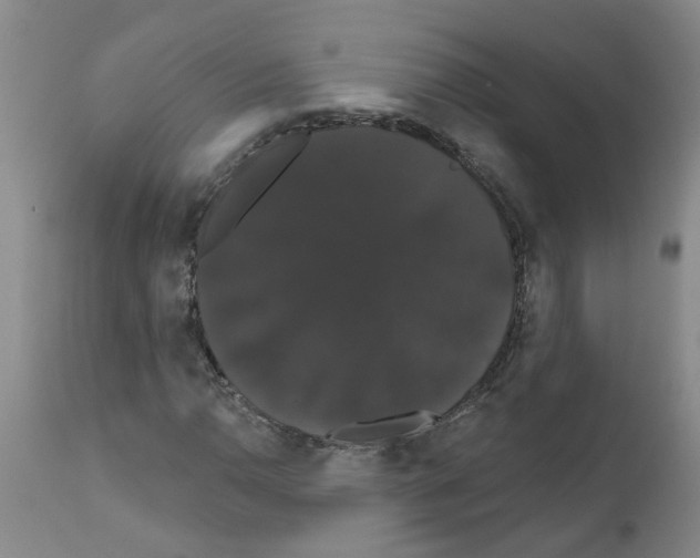 X0000111521110200908251130