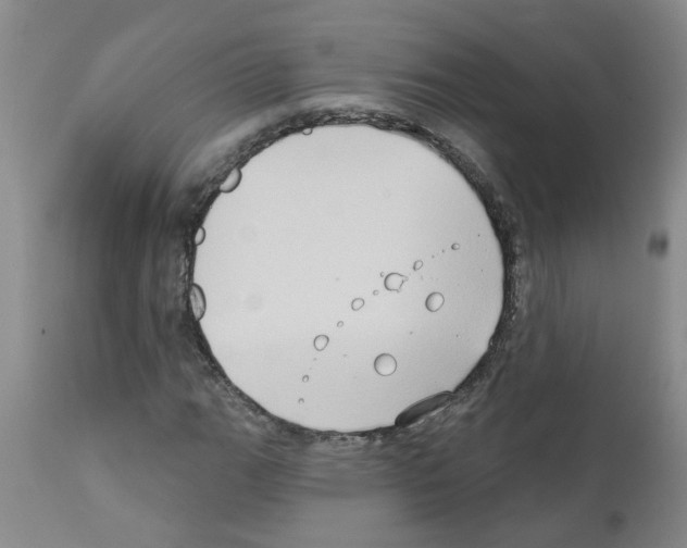 X0000111521111200908251130
