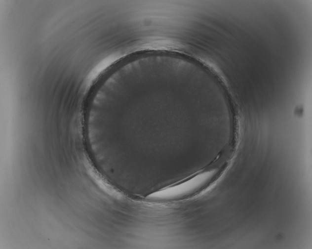 X0000111521114200908251130