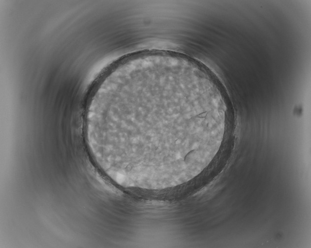 X0000111521115200908251130