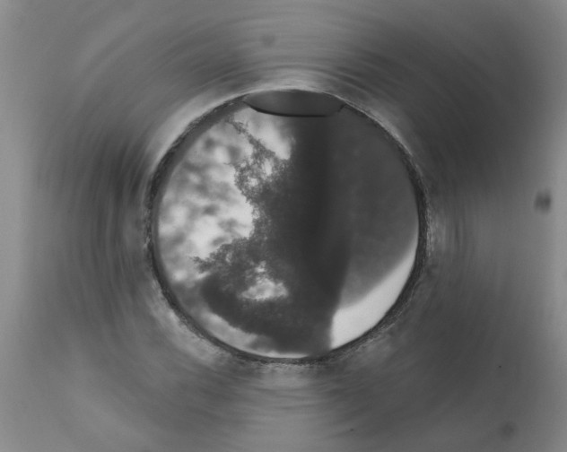 X0000111521116200908251130