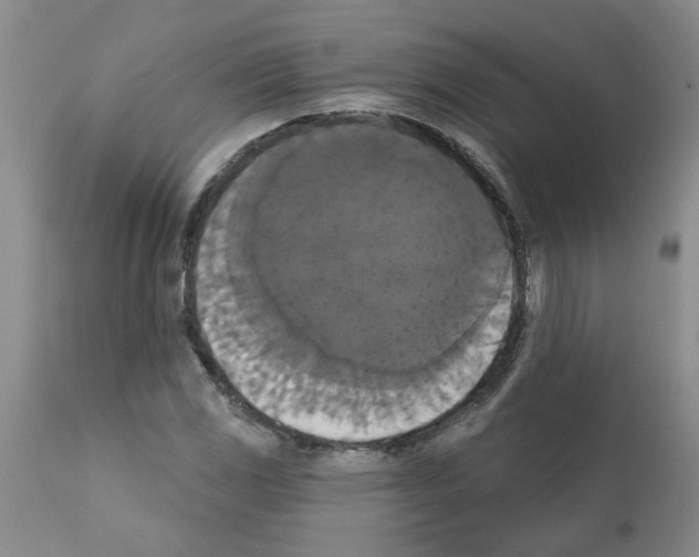 X0000111521117200908251130