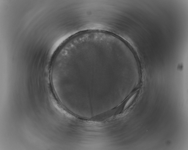 X0000111521120200908251130