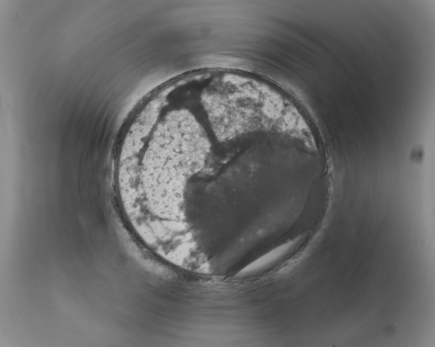 X0000111521125200908251130