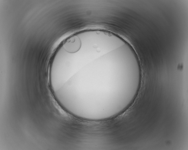 X0000111521127200908251130