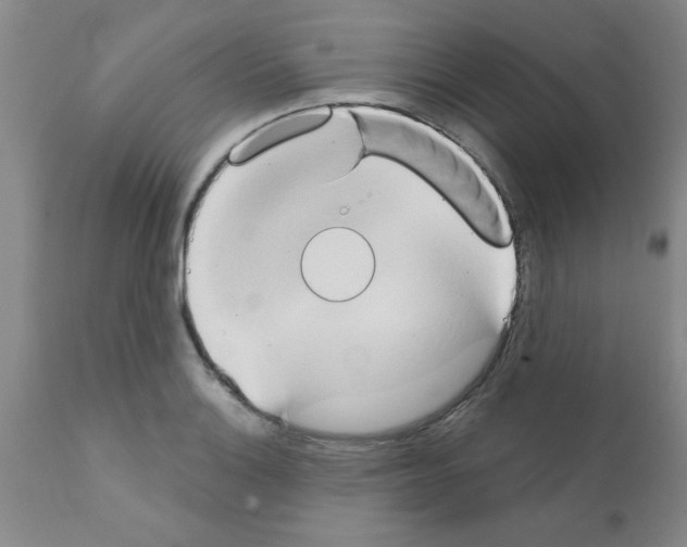 X0000111521132200908251130