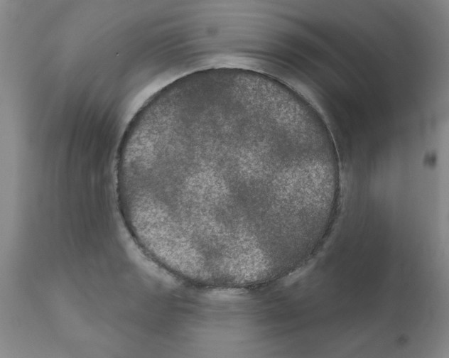 X0000111521133200908251130