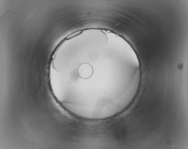 X0000111521134200908251130