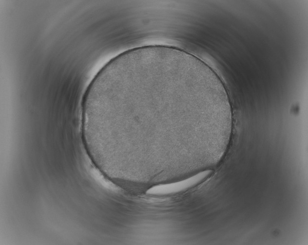 X0000111521140200908251130