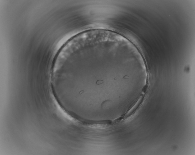 X0000111521141200908251131