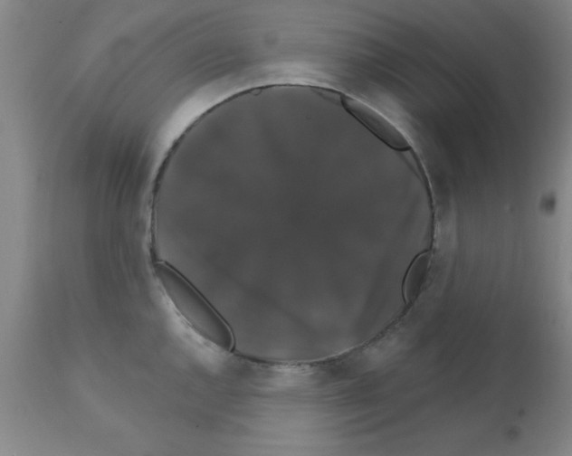 X0000111521144200908251131