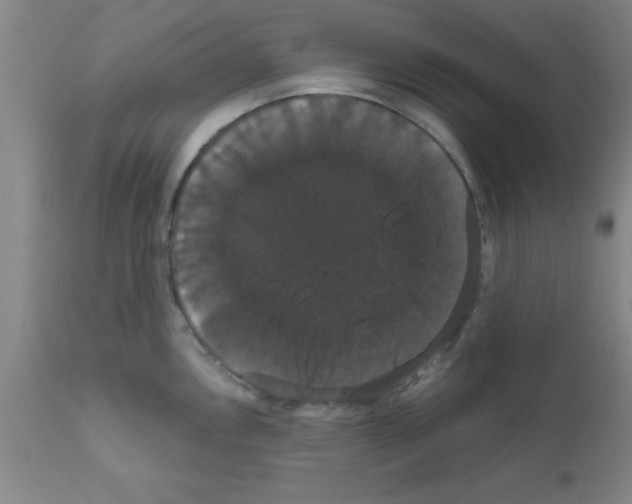 X0000111521146200908251131