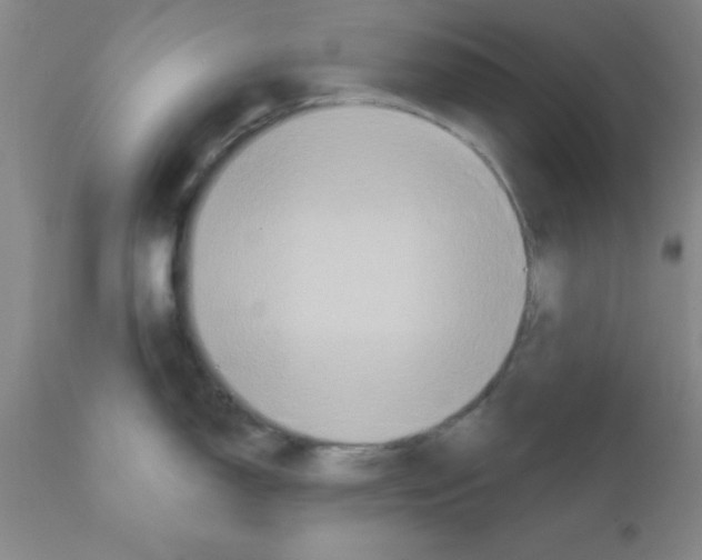 X0000111521150200908251131