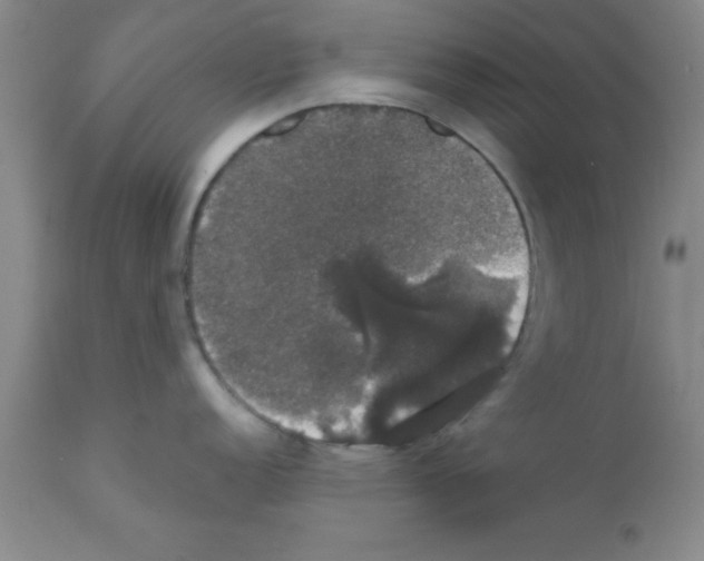 X0000111521152200908251131