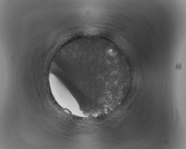 X0000111521153200908251130