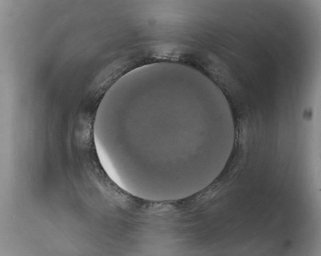 X0000111521154200908251130