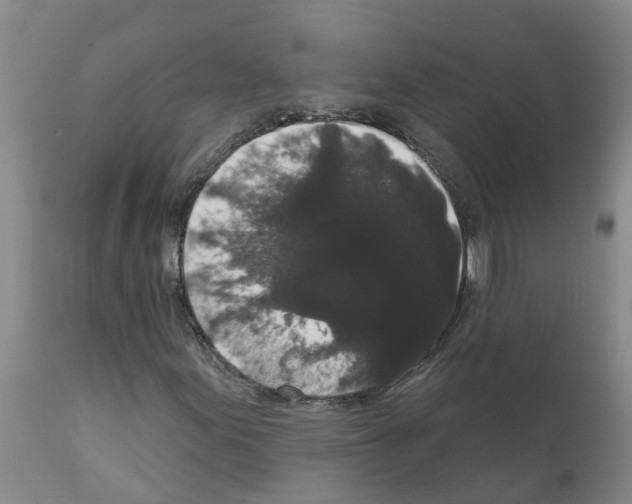 X0000111521155200908251130