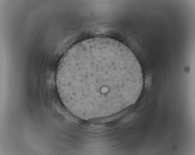 X0000111521156200908251130