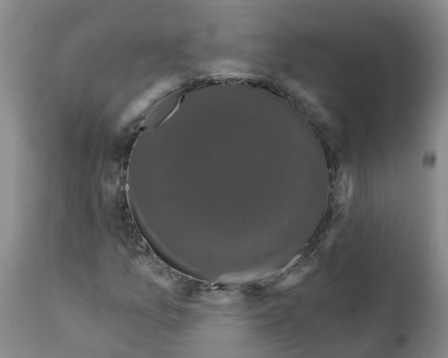 X0000111521157200908251130