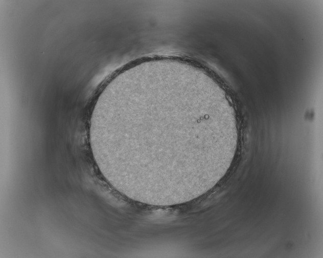 X0000111521160200908251130