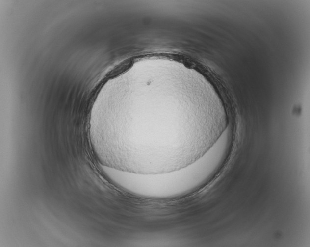 X0000111521161200908251130