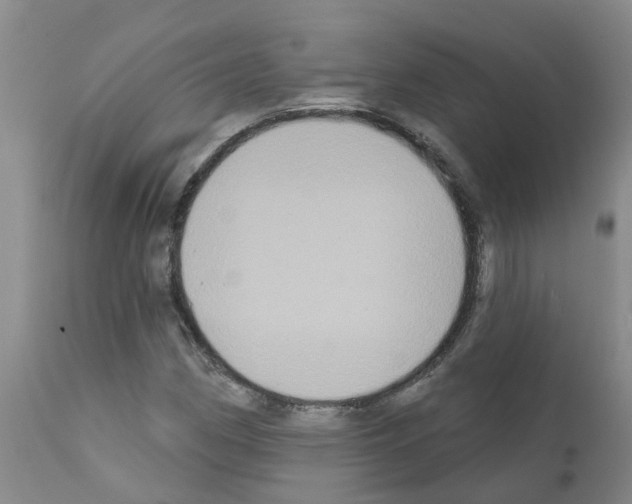 X0000111521162200908251130