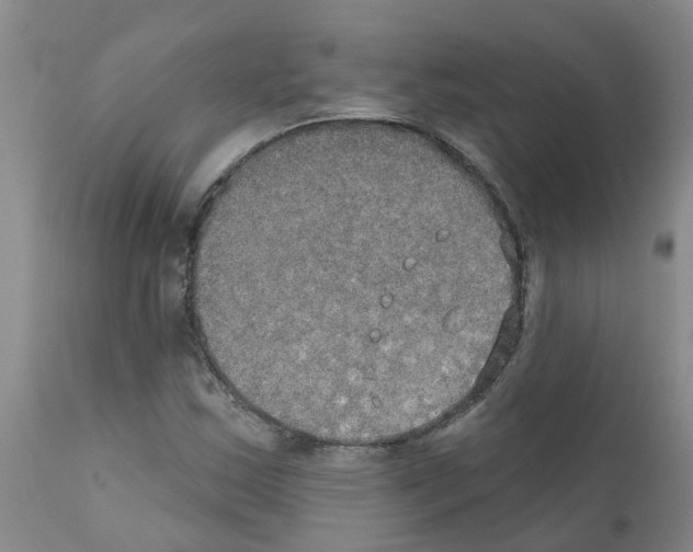 X0000111521163200908251130