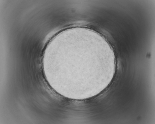X0000111521164200908251130