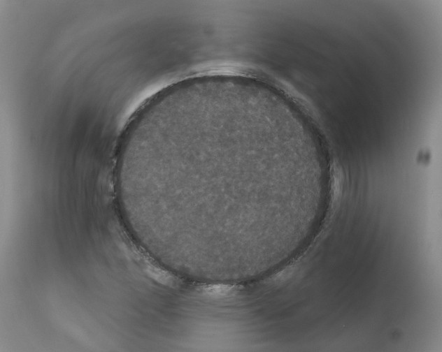 X0000111521166200908251130