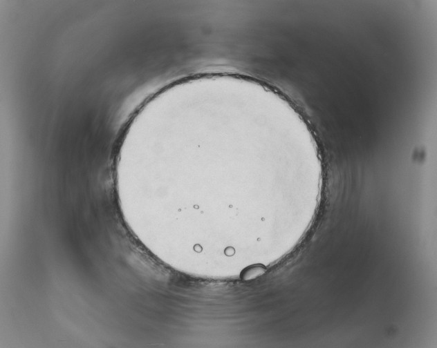 X0000111521167200908251130