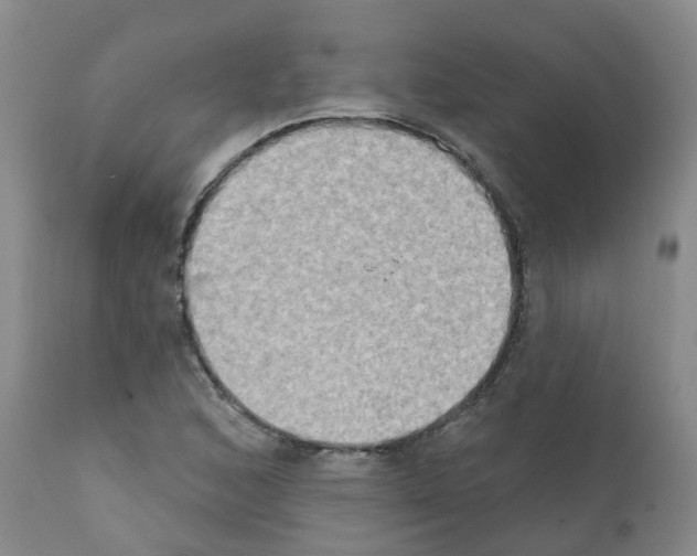 X0000111521168200908251130