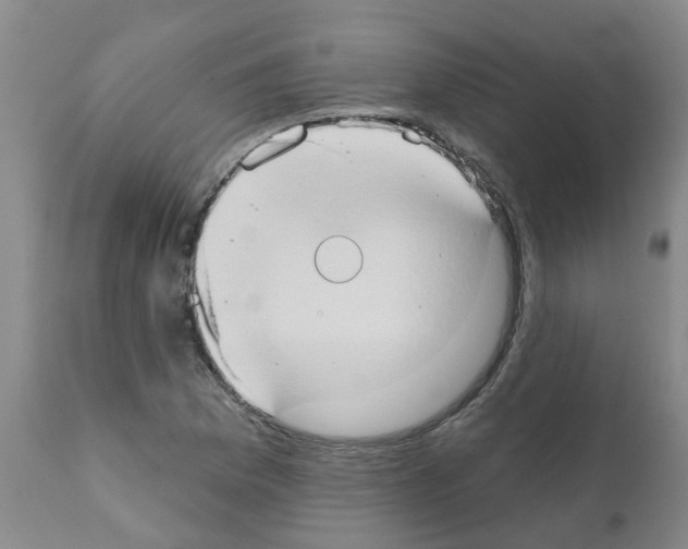 X0000111521169200908251130