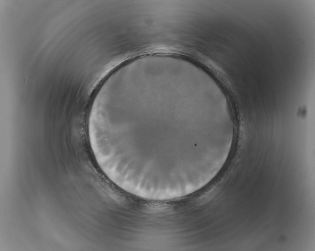X0000111521170200908251130