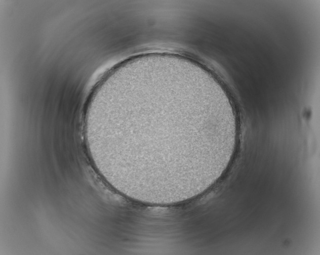 X0000111521172200908251130