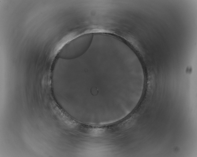 X0000111521173200908251130