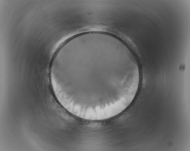 X0000111521174200908251130